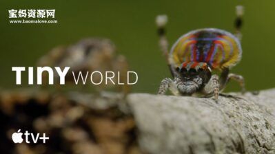 《Tiny World》小小世界英文版 第一季 [全6集][英语][1080P][MKV]