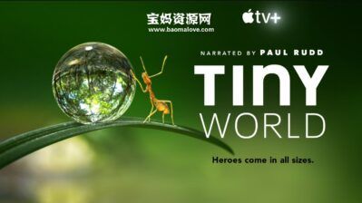 《Tiny World》小小世界英文版 第二季 [全6集][英语][1080P][MKV]