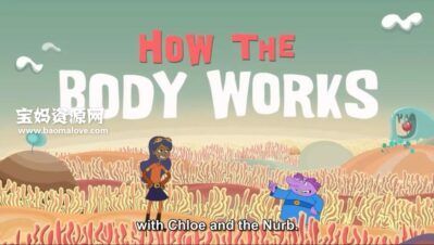 《How your body works》你的身体如何工作英文版 [全18集][英语][720P][MP4]