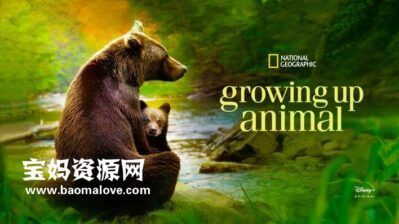 《动物成长 Growing Up Animal》[全6集][英语][1080P][MKV]