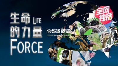 《生命的力量 Life Force》第一季 [全6集][英语中英字][1080P][MP4]