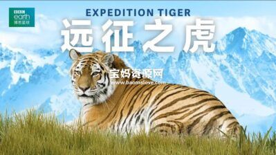 《远征之虎 EXPEDITION TIGER》[全3集][英语中字][1080P][MP4]