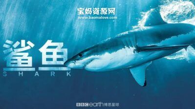 《鲨鱼 Shark》[全3集][英语中字][1080P][MP4]