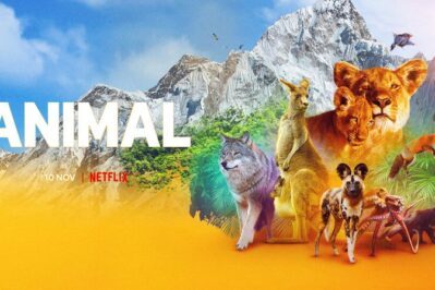 《动物本色 Animal》第一季 [全4集][英语][1080P][MKV]