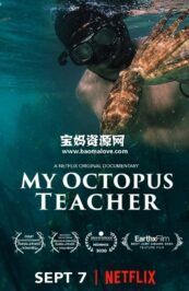 《我的章鱼老师 My Octopus Teacher》[全1集][英语][1080P][MKV]
