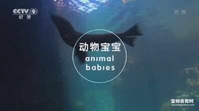 《动物宝宝 Animal Babies》[全3集][国语中字][1080P][MP4]