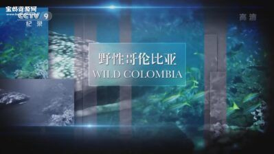 《野性哥伦比亚 wild colombia》[全3集][国语中字][1080P][MP4]