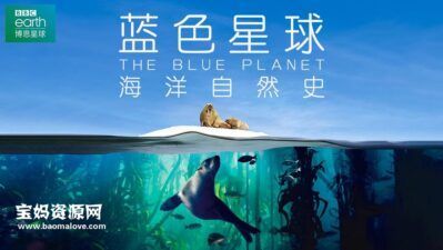 《蓝色星球 The Blue Planet》第一季 [全8集][英语中英字][1080P][MKV]