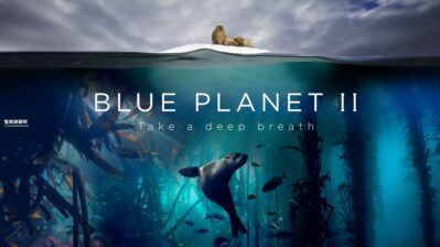 《蓝色星球 The Blue Planet》第二季 [全7集][英语中英字][1080P][MKV]