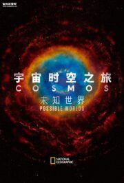 《宇宙时空之旅：未知世界 Cosmos: Possible Worlds》[全13集][英语中英字][1080P][MKV]