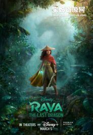《寻龙传说 Raya and The Last Dragon》[2021][英语中英字][804P][MKV]