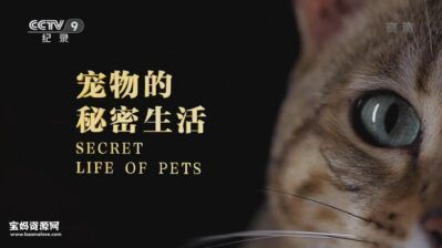 《宠物的秘密生活 Secret Life of Pets》[全4集][国语中字][1080P][MP4]