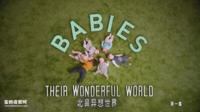 《北鼻异想世界 The Wonderful World of Babies》[全3集][英语中英字][1080P][MP4]