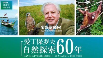 《爱丁保罗夫：自然探索60年 Attenborough: 60 Years in the Wild》[全3集][英语中字][1080P][MP4]