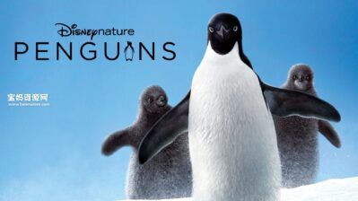 《企鹅 Penguins》[全1集][英语中英字][1080P][MP4]