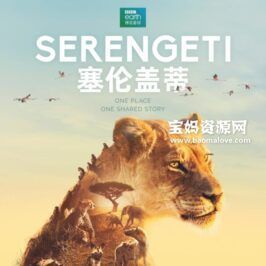 《塞伦盖蒂 Serengeti》第一季 [全6集][英语中英字][720P][MP4]
