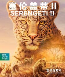 《塞伦盖蒂 Serengeti》第二季 [全6集][英语中英字][720P][MP4]