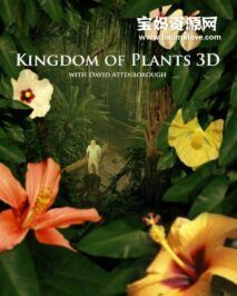 《植物王国 Kingdom of Plants 3D》[全3集][英语中英字][1080P][MP4]