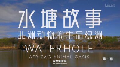 《水塘故事：非洲动物的生命绿洲 Waterhole Africa's Animal Oasis》[全3集][英语中英字][1080P][MP4]