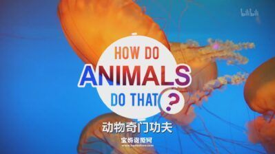 《动物奇门功夫 How Do Animals Do That?》[全20集][英语中英字][1080P][MP4]