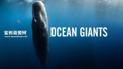 《追踪海洋巨兽 Chasing Ocean Giants》[全8集][英语中英字][1080P][MP4]