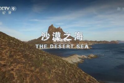 《沙漠之海 The Desert Sea》[全2集][国语中字][1080P][MP4]