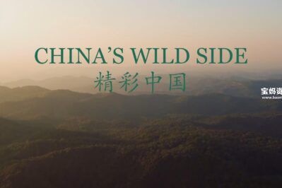 《精彩中国 China's Wild Side》[全5集][英语中英字][1080P][MP4]