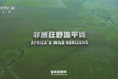 《非洲狂野地平线 Africa's Wild Horizons》[全3集][国语中字][1080P][MP4]
