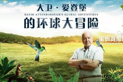 《大卫·爱登堡的环球大冒险 David Attenborough's Global Adventures》[全3集][英语中英字][1080P][MP4]