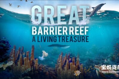 《世上最蓝的海 Great Barrier Reef: A Living Treasure》[全4集][英语中英字][720P][MP4]