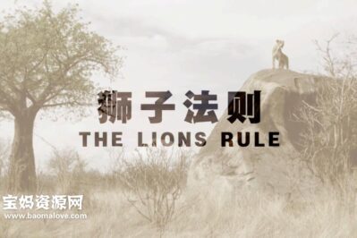 《狮子法则 The Lions Rule》[全3集][国语中字][1080P][MP4]