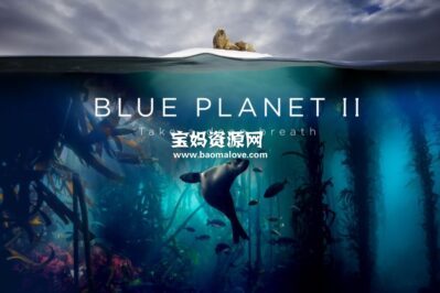 《蓝色星球2 Blue Planet II》[全7集][国语中英字][1080P][MP4]