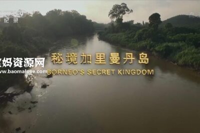 《秘境加里曼丹岛 Borneo's Secret Kingdom》[全3集][国语中字][1080P][MP4]