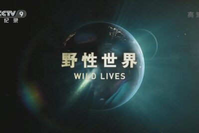 《野性世界 Wild Lives》[全3集][国语中字][1080P][MP4]