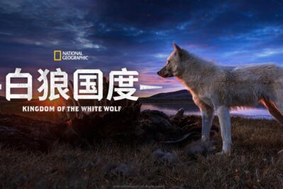 《白狼国度 Kingdom of the White Wolf》[全3集][英语中英字][1080P][MP4]