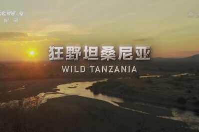 《狂野坦桑尼亚 Wild Tanzania》[全4集][国语中字][1080P][MP4]
