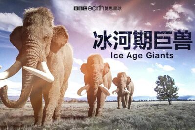 《冰河期巨兽 Ice Age Giants》 [全3集][英语中字][1080P][MP4]