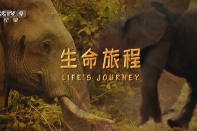 《生命旅程 Life's Journey》[全3集][国语中字][1080P][MP4]