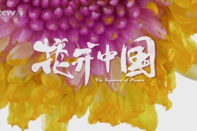 《花开中国》[全5集][国语中字][1080P][MP4]