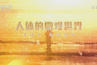 《人体的微观世界 The Body》[全8集][国语中字][1080P][MP4]