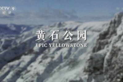 《黄石公园 Epic Yellowstone》[全4集][国语中字][1080P][MP4]