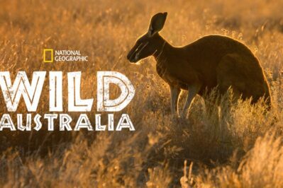 《野性澳大利亚 Wild Australia》 第一季 [全4集][英语][1080P][MKV]