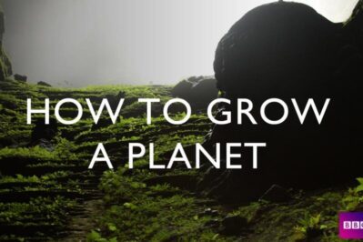 《种出个地球 How To Grow A Planet》第一季 [全3集][英语][1080P][MKV]