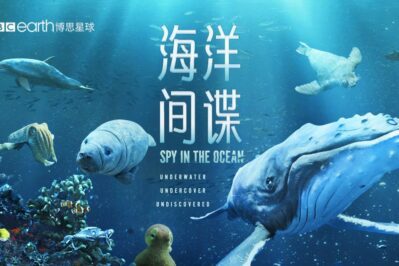 《海洋间谍 Spy in the Ocean》 第一季 [全4集][英语中英字][1080P][MP4]