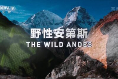 《野性安第斯 The Wild Andes》 [全3集][国语中字][1080P][MP4]