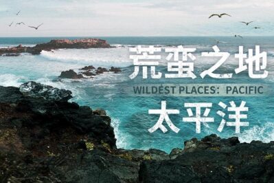 《荒蛮之地：太平洋 Wildest Places: Pacific》 [全4集][英语中字][2160P][MP4]