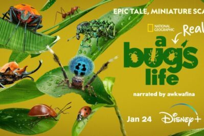 《虫虫历险记 A Real Bug's Life》 第一季 [全5集][英语][1080P][MKV]