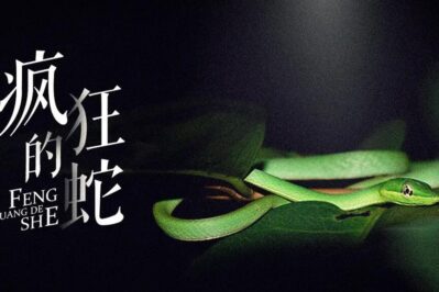 《疯狂的蛇 Extreme Snakes》 第一季 [全2集][英语中字][1080P][MP4]
